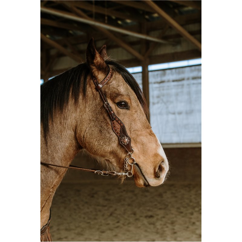 Mesa Headstall and fringe Breast Collar Set Mesa Headstall and fringe Breast Collar Set
