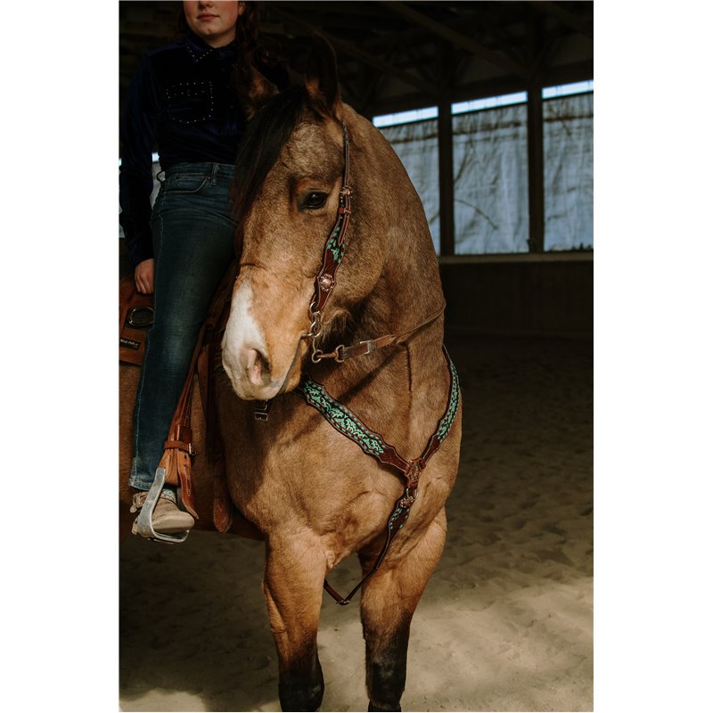 Dalton Headstall and Breast Collar Set