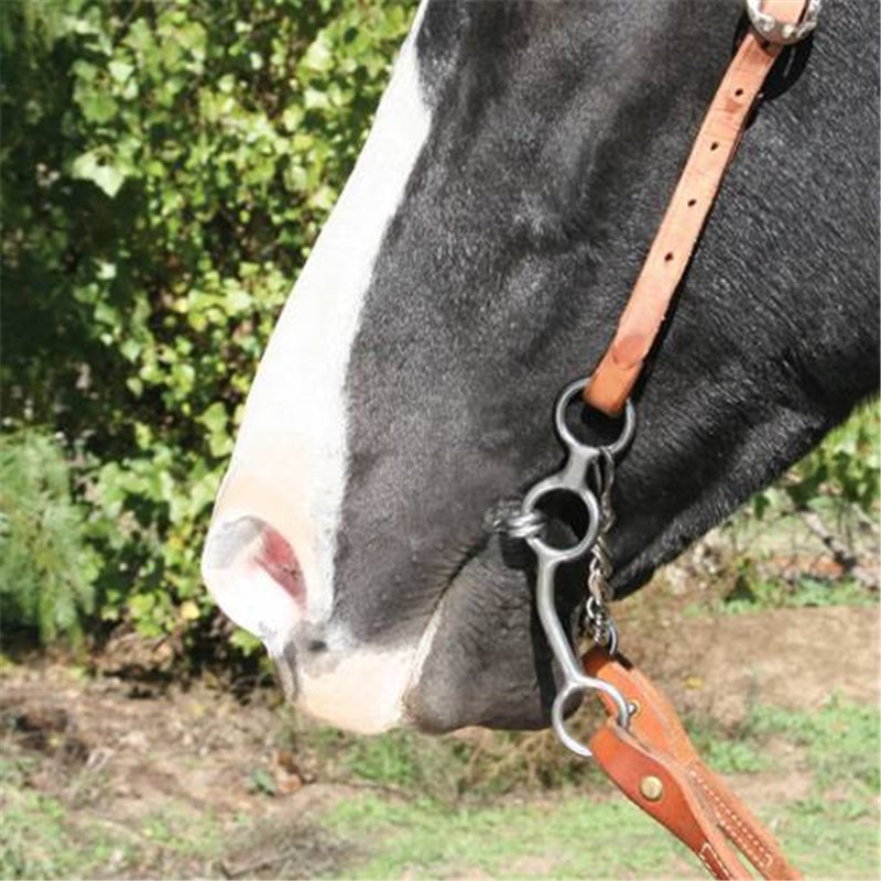 Bonanza Turquoise Gator Print Hide Stirrups Bonanza Turquoise Gator Print Hide Stirrups