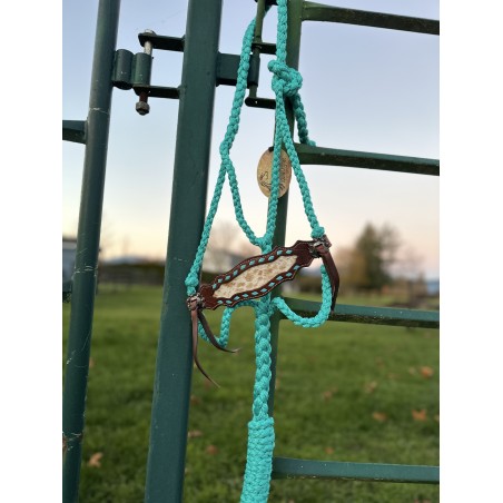 Teal Cow Puncher Braided Rope Halter