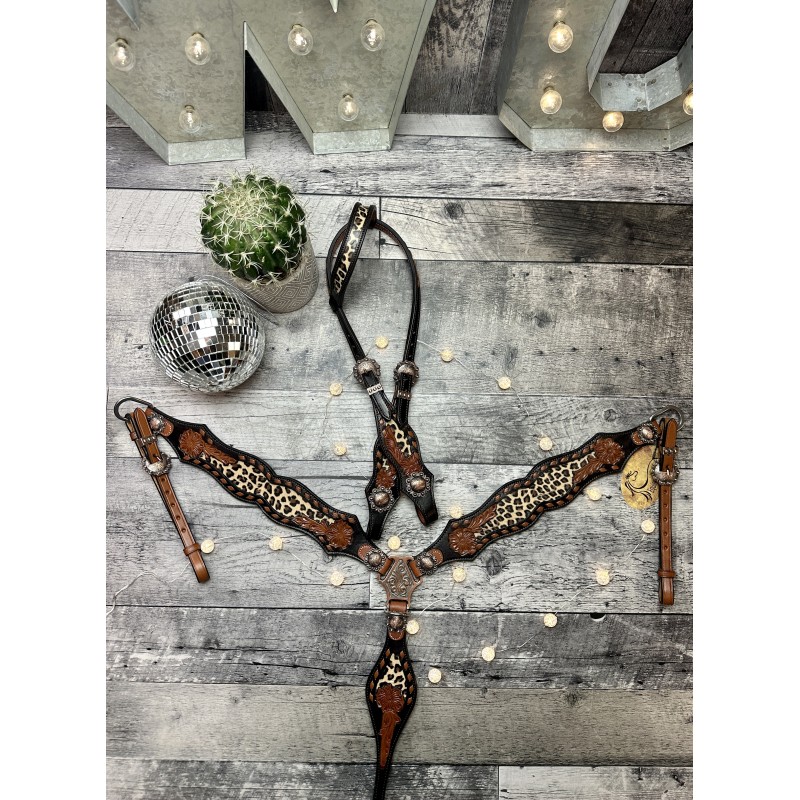 SEVENTEEN ジョンハン★【WILD BRICKS】★TG SHELL BRACELE.T The BSD Jonesin' Sprocket V2 – BSD BMX