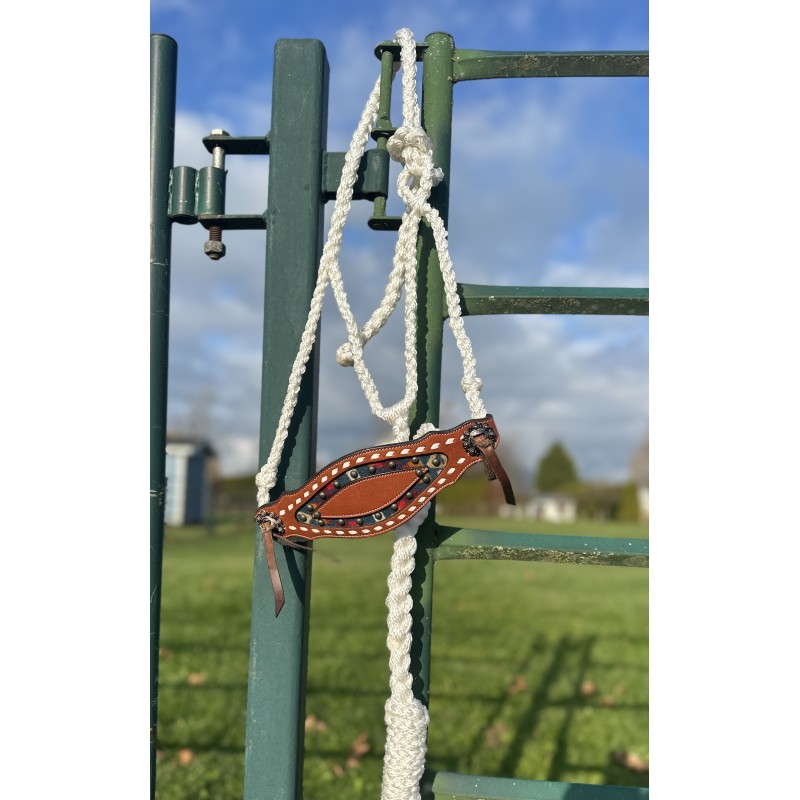 Custom Bronc Braided Halter