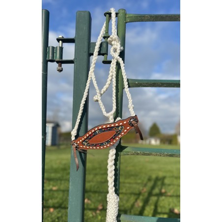 Custom Bronc Braided Halter