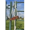 Custom Bronc Braided Halter