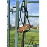 Custom Bronc Braided Halter