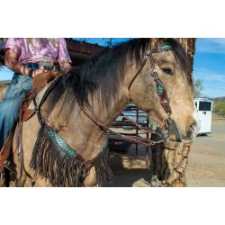 Dalton Fringe Headstall and Breast Collar Set