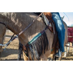 Dalton Fringe Headstall and Breast Collar Set