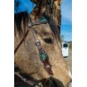 Dalton Fringe Headstall and Breast Collar Set