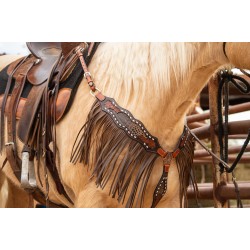 Josie Wales Headstall and Fringe Breast Collar Set