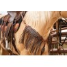 Josie Wales Headstall and Fringe Breast Collar Set