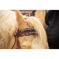 Josie Wales Headstall and Fringe Breast Collar Set