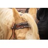 Josie Wales Headstall and Fringe Breast Collar Set