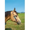 Purple Mohair Headstall