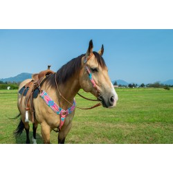 Pink Mohair Headstall