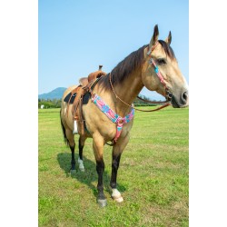 Pink Mohair Headstall