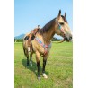 Pink Mohair Headstall