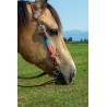 Pink Mohair Headstall