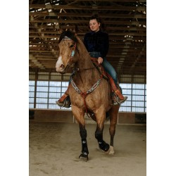 Annie Oakley Headstall and Breast Collar Set