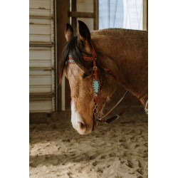 Annie Oakley Headstall and Breast Collar Set