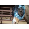 Schulz Equine Lycra Fly Mask - Turquoise Glass