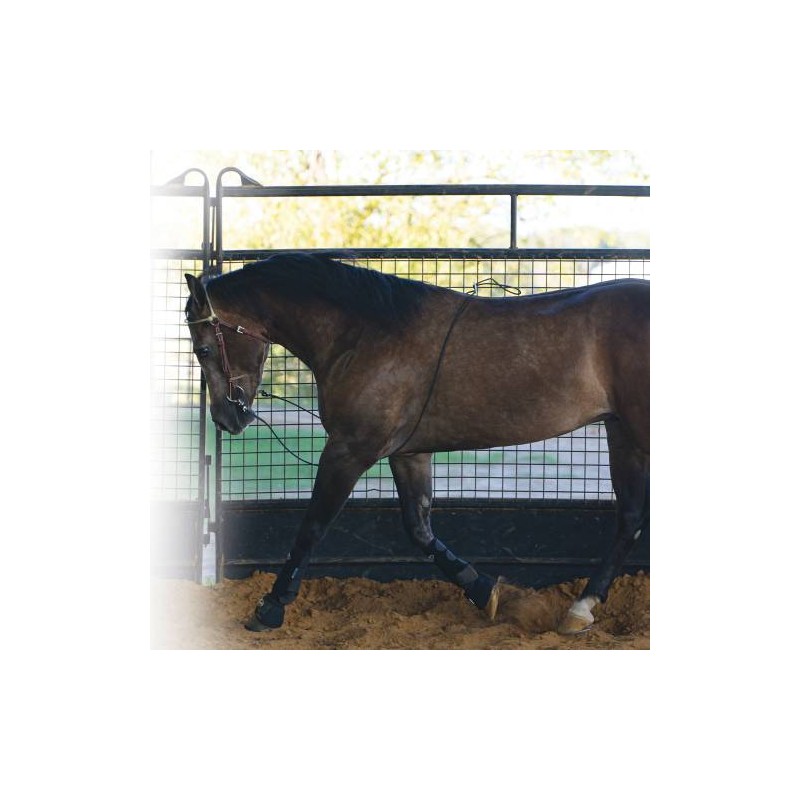 Professionals Choice Lunging Buddy