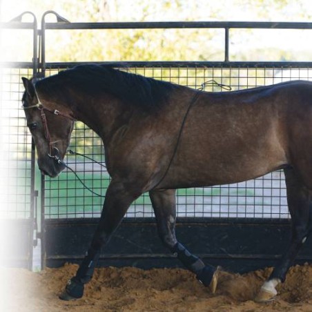Professionals Choice Lunging Buddy