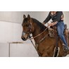 EquiBreathe™ Equine Nasal Patch - Aztec