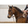 EquiBreathe™ Equine Nasal Patch - Aztec
