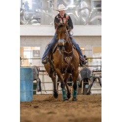 EquiBreathe™ Equine Nasal Patch - Aztec