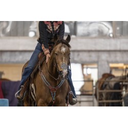 EquiBreathe™ Equine Nasal Patch - Cheetah