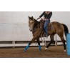 EquiBreathe™ Equine Nasal Patch - Cheetah