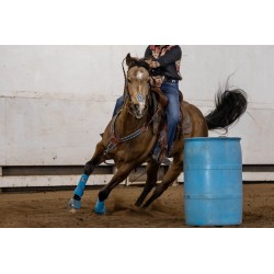 EquiBreathe™ Equine Nasal Patch - Cheetah