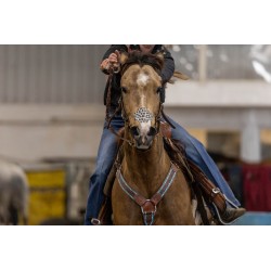 EquiBreathe™ Equine Nasal Patch - Cheetah