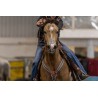 EquiBreathe™ Equine Nasal Patch - Cheetah