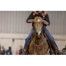 EquiBreathe™ Equine Nasal Patch - Cheetah