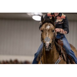 EquiBreathe™ Equine Nasal Patch - Cheetah