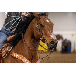 EquiBreathe™ Equine Nasal Patch - Tooled Leather