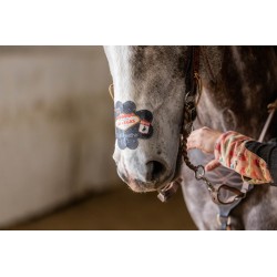EquiBreathe™ Equine Nasal Patch - Vegas