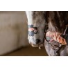 EquiBreathe™ Equine Nasal Patch - Vegas