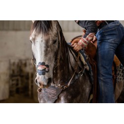 EquiBreathe™ Equine Nasal Patch - Vegas