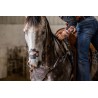 EquiBreathe™ Equine Nasal Patch - Vegas