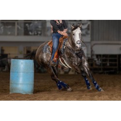 EquiBreathe™ Equine Nasal Patch - Vegas