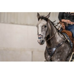 EquiBreathe™ Equine Nasal Patch - Vegas