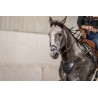 EquiBreathe™ Equine Nasal Patch - Vegas