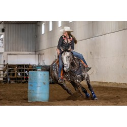EquiBreathe™ Equine Nasal Patch - Vegas