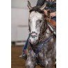 EquiBreathe™ Equine Nasal Patch - Vegas