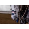 EquiBreathe™ Equine Nasal Patch - Vegas