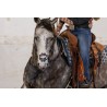 EquiBreathe™ Equine Nasal Patch - Vegas