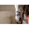 EquiBreathe™ Equine Nasal Patch - Vegas