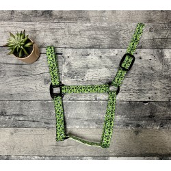 Schulz Equine Nylon Halter House of Cards